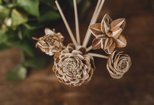 Handmade Floral Reeds